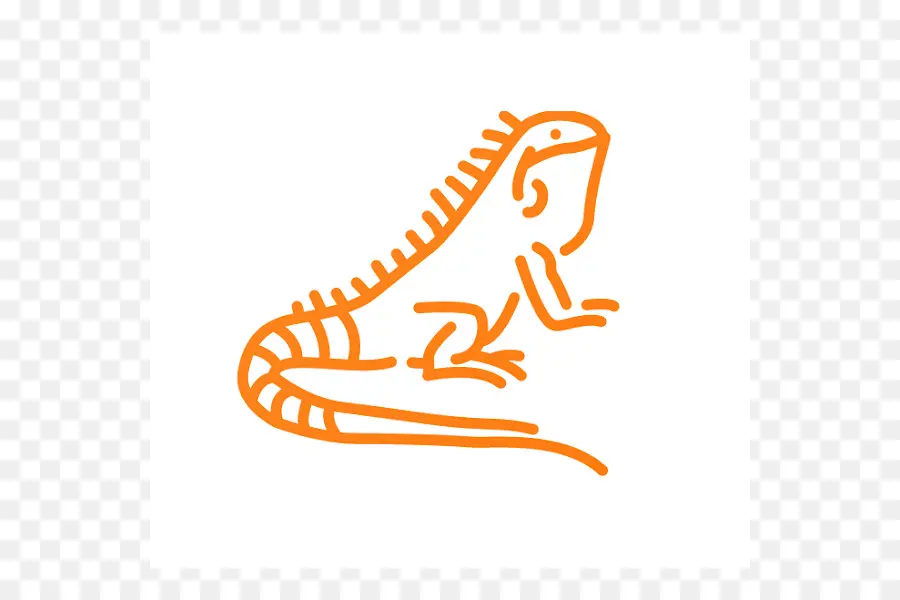 Iguana，สัตว์ PNG