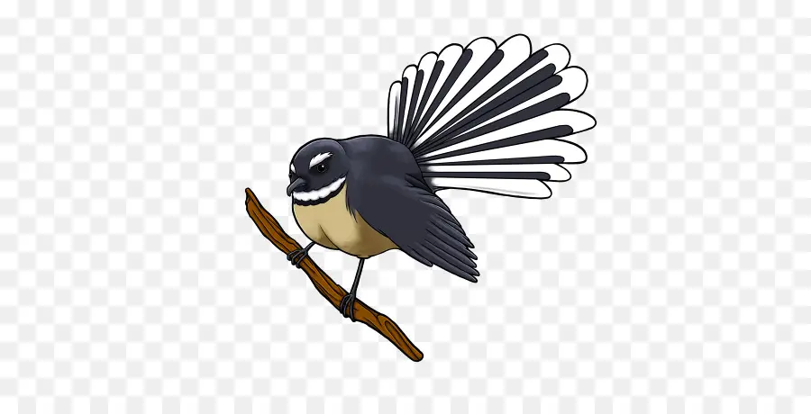 นก，นิวซีแลนด์ Fantail PNG