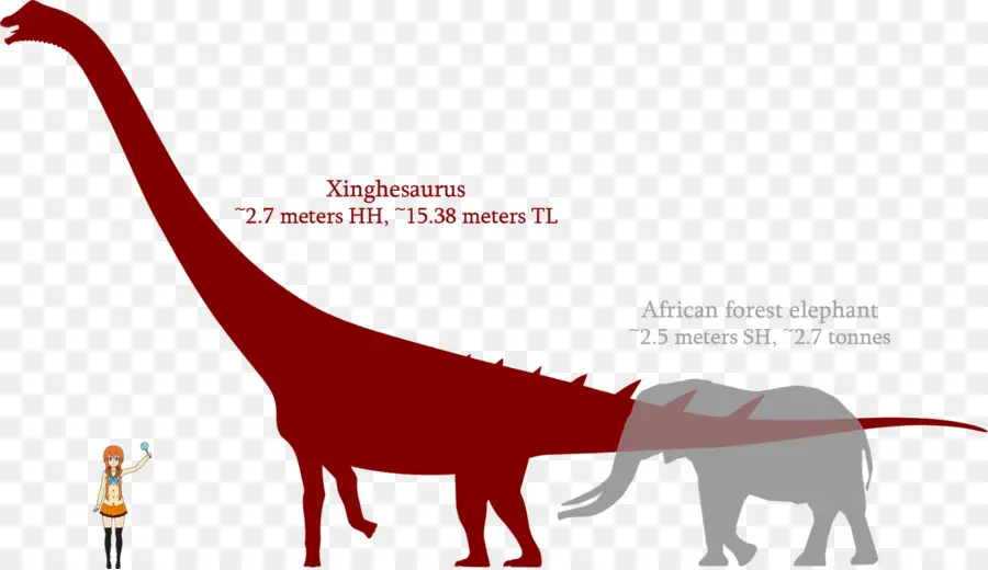 การเปรียบเทียบไดโนเสาร์，ขนาด PNG