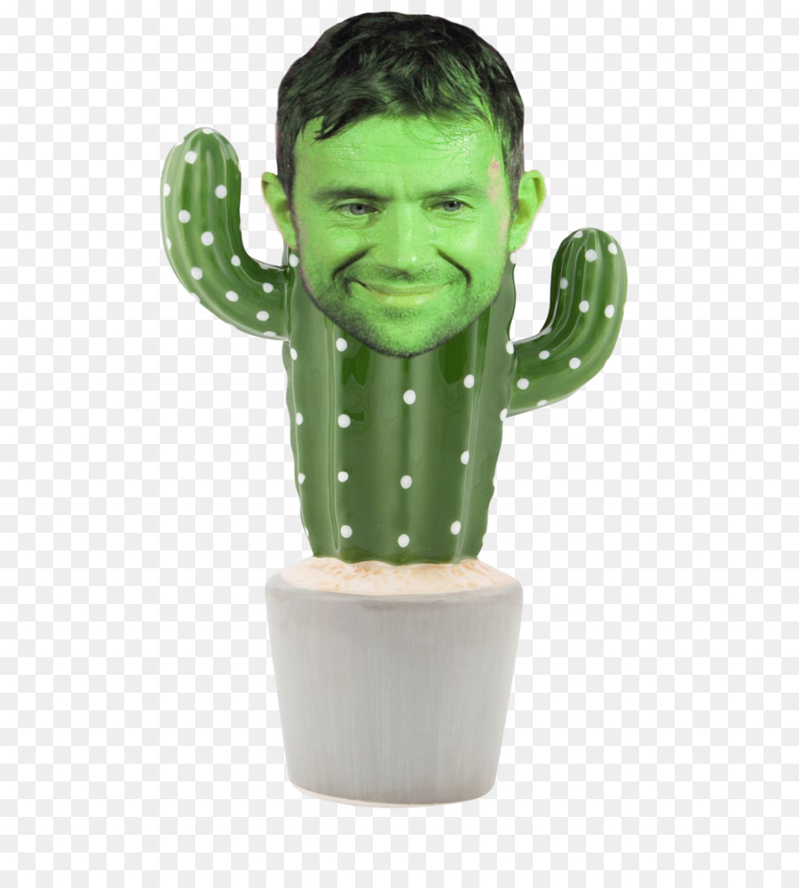 Sass เบลล์ Cactus เงินกล่อง，ธนาคาร PNG