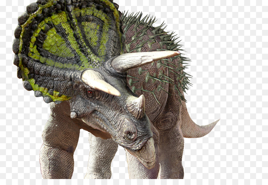 ไดโนเสาร์，Triceratops PNG