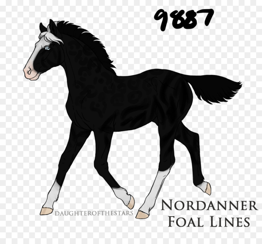 ม้า，Foal PNG