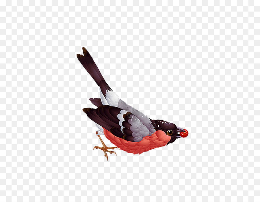 นก，Royaltyfree PNG