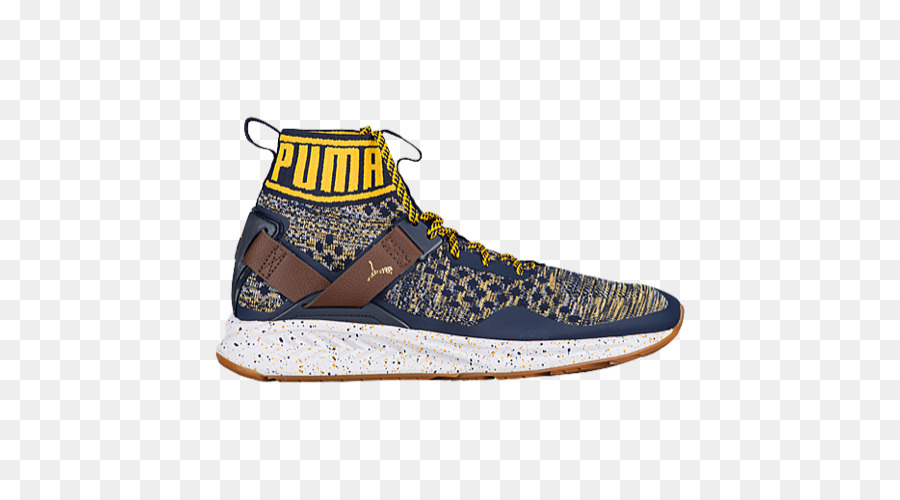 รองเท้ากีฬา，Puma Ignite 3 Evoknit คน PNG