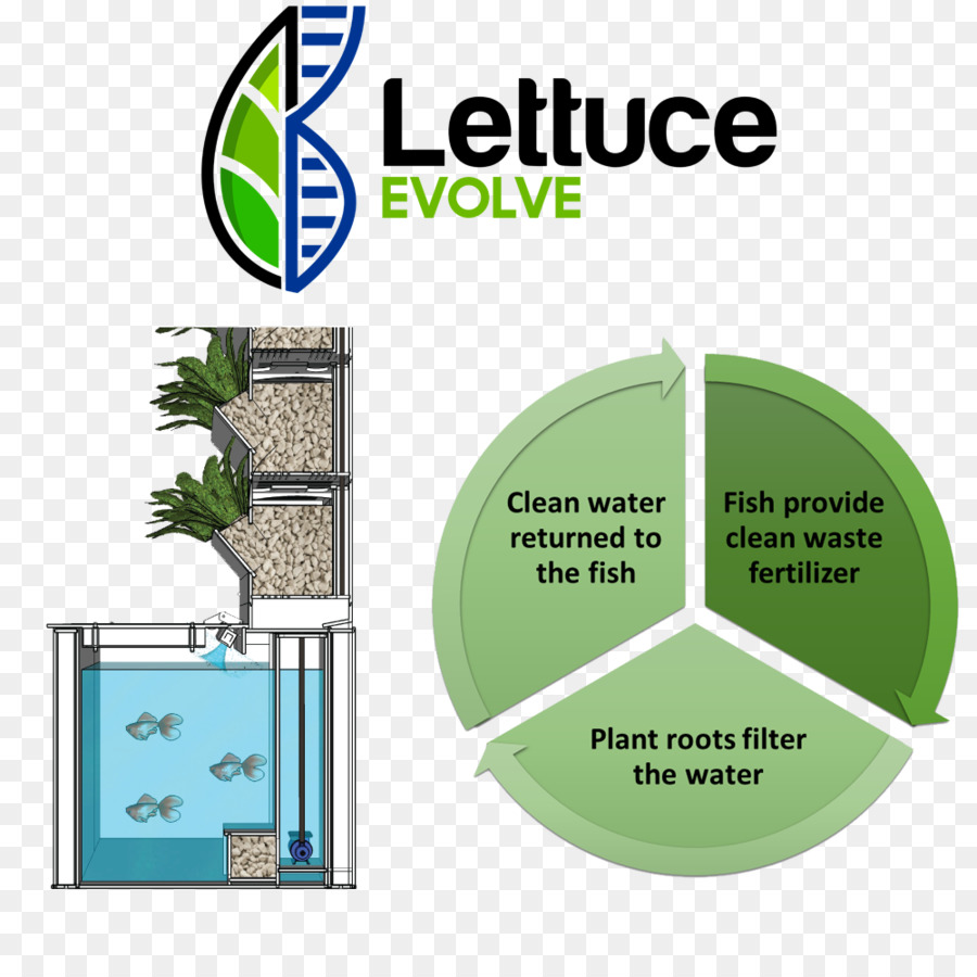 Aquaponics，ห้องไฮโดรพลอนิค PNG