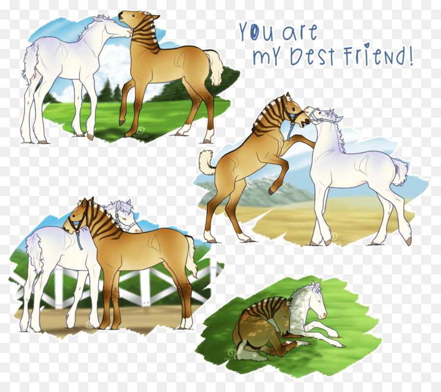 รถมัสแตง，Foal PNG