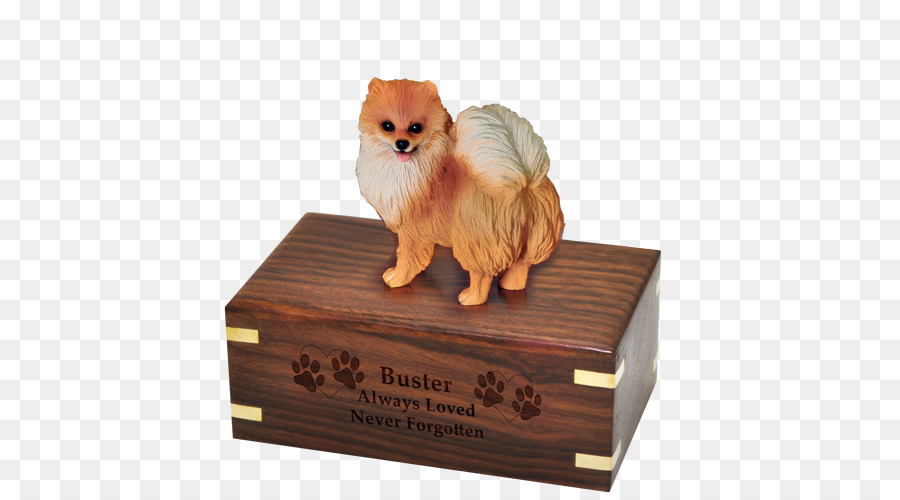 เยอรมันสเปชหรอกเล็กๆ，Pomeranian PNG