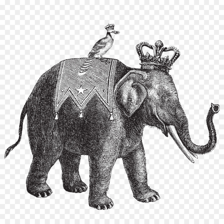 ช้าง，โปสเตอร์ PNG