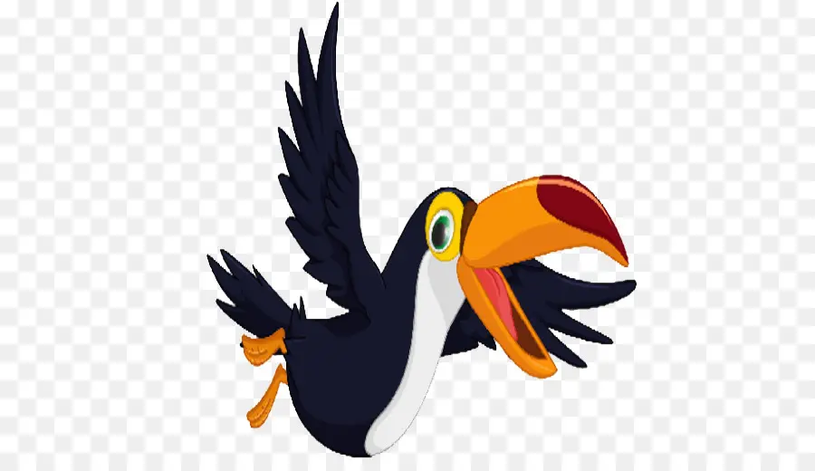 Toucan，นกที่มีสีสรร PNG