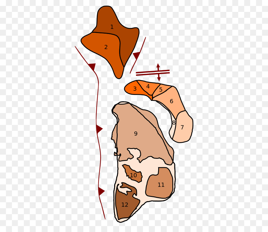 โคลัมเบีย，คองโก Craton PNG