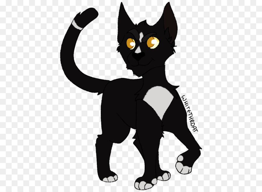 แมวดำ，ในประเทศ Shorthaired แมว PNG