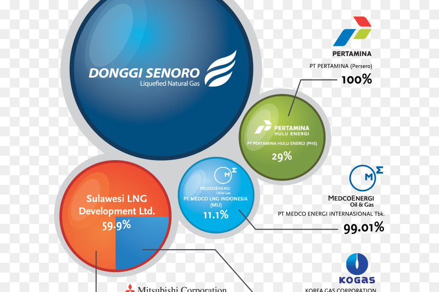 พ้อยนต์ Donggisenoro Lng，องค์กร PNG