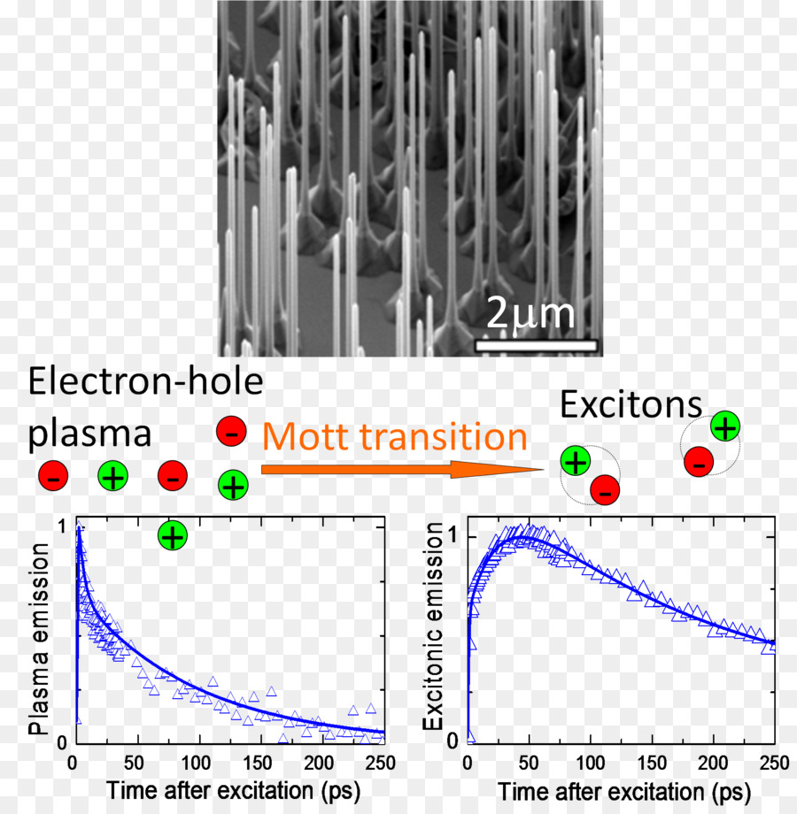 Exciton，Nanowire PNG