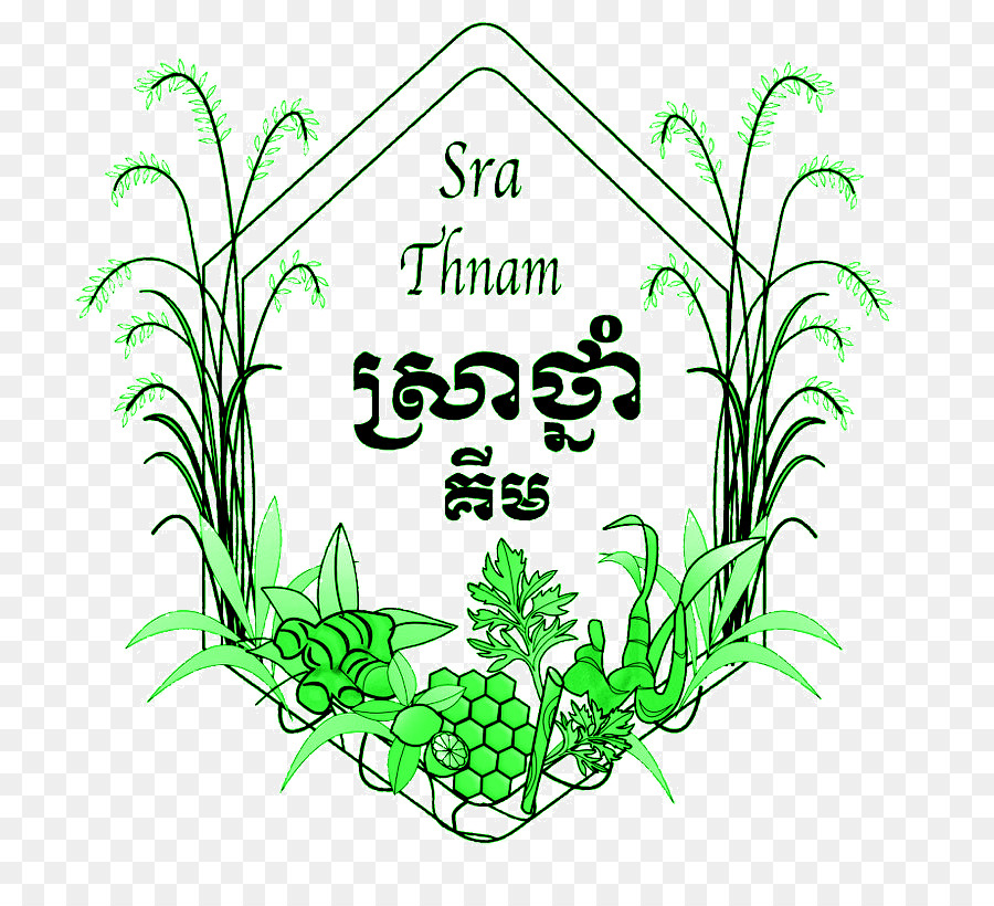 Sra Thnam บ้าน，หญ้า PNG