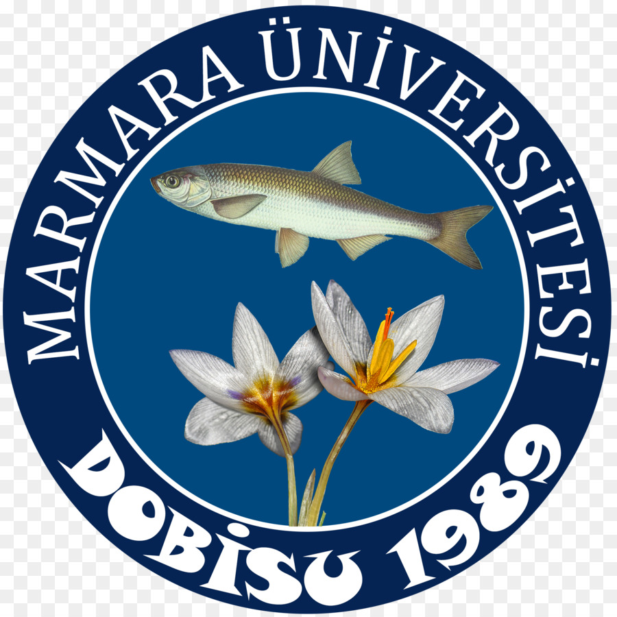 Marmara มหาวิทยาลัย，มหาวิทยาลัย PNG