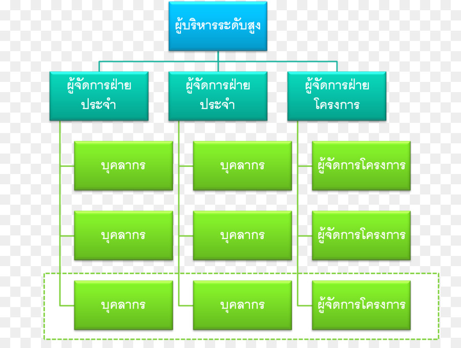 โครงการ，องค์กร PNG