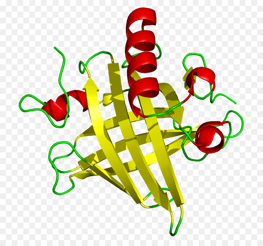 ผู้พันปัสสาวะ Proteins，โปรตีน PNG
