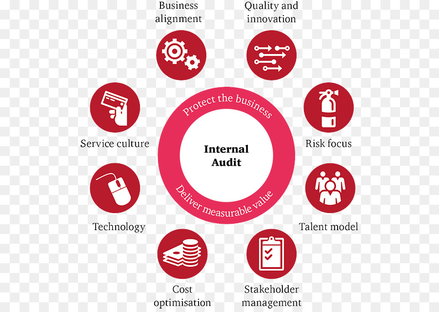 การตรวจสอบภายใน，ธุรกิจ PNG