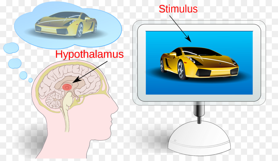 Neuromarketing，การตลาด PNG