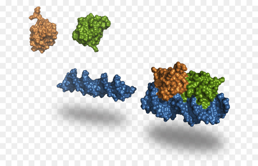 น้ำองุ่น，Bioinformatics PNG