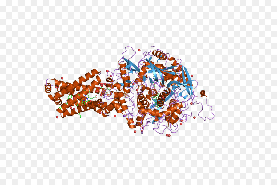 Succinate Dehydrogenase，Sdb PNG