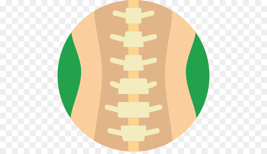 Vertebral คอลัมน์，เอวสันหลัง PNG