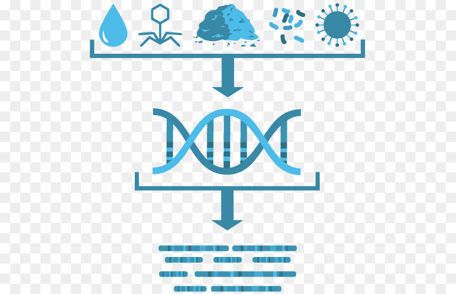 Microbial พันธุกรรม，ชีววิทยา PNG