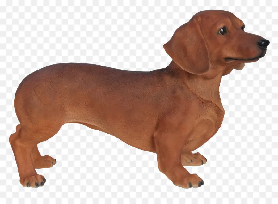 Dachshund สีน้ำตาล，สัตว์เลี้ยง PNG