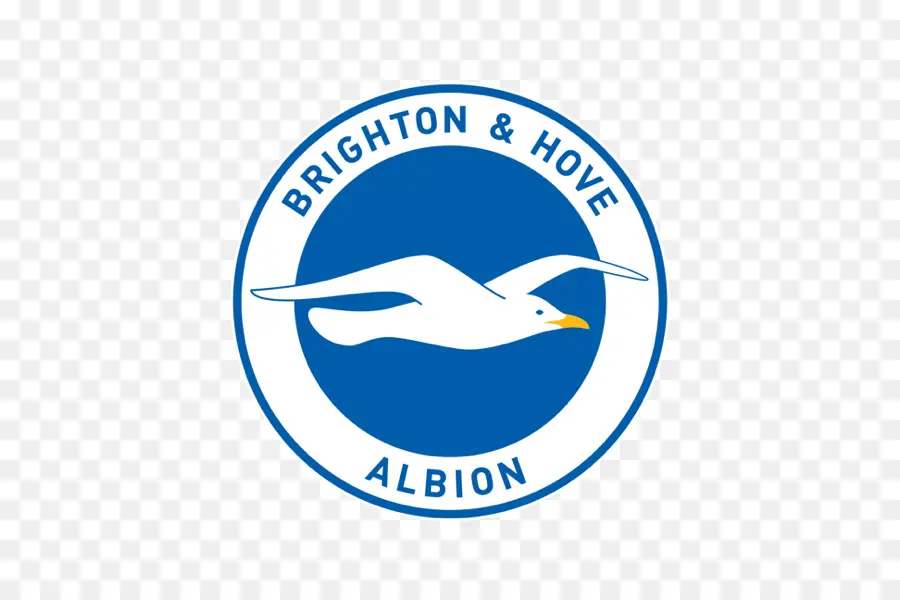 Brighton Hove Albion，นกนางนวล PNG