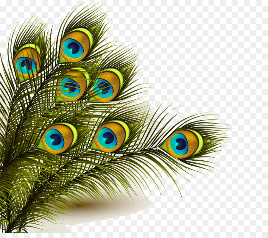 Peafowl Png Png Peafowl   Kisspng Peafowl Feather Peacock Clip Art Portable Network Peacock Feather Free Png And Clipart Tech Eelam 5bff01d0803b50.9182225515434388005253 