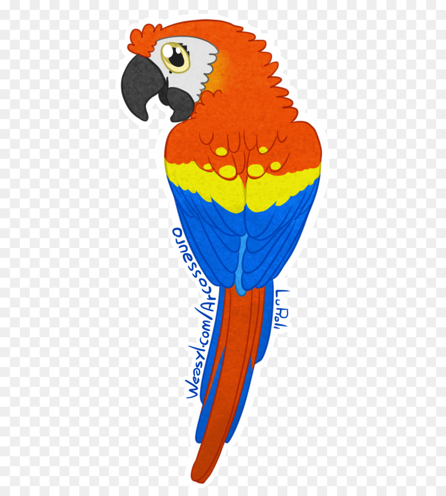 นก，แด Macaw PNG