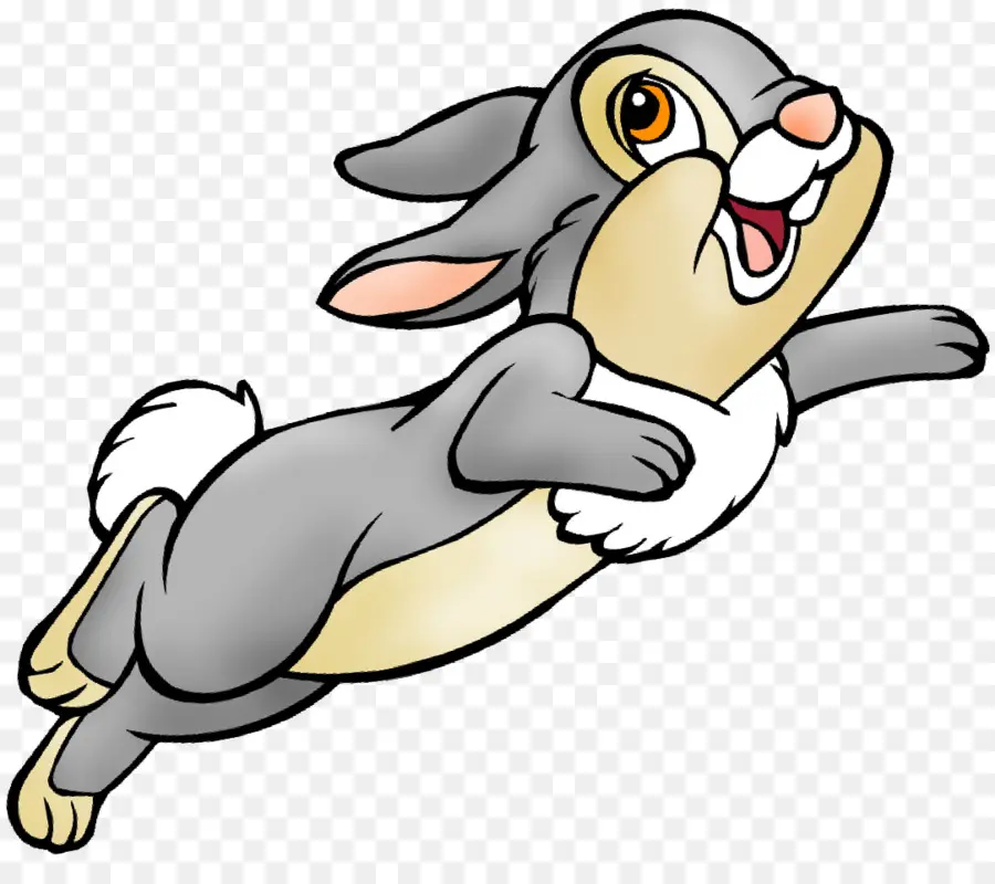 กระต่าย，กระต่ายแสดงกระโดด PNG