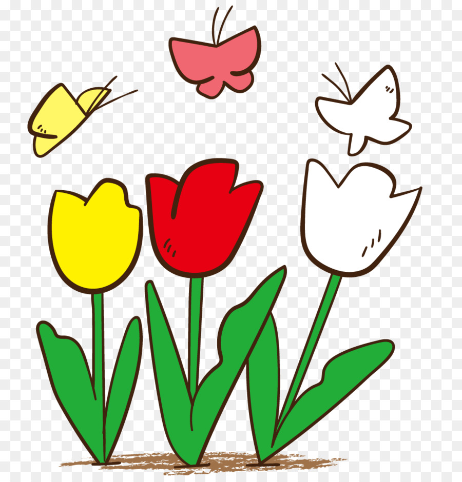 สอนจัดดอกไม้เด็กๆเขาออกแบบ，ทิวลิป PNG
