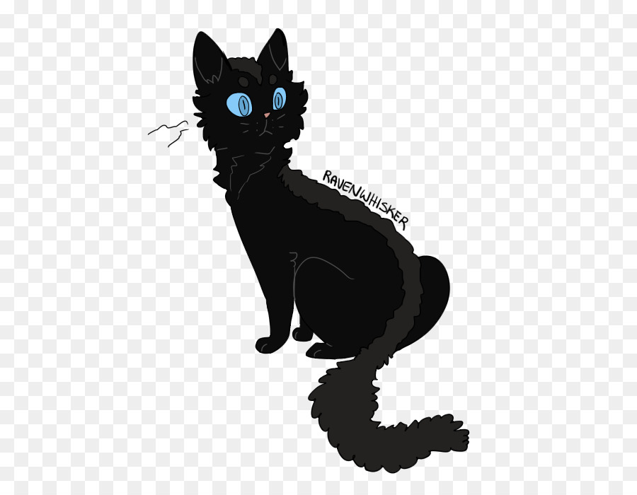 แมวดำ，ในประเทศ Shorthaired แมว PNG