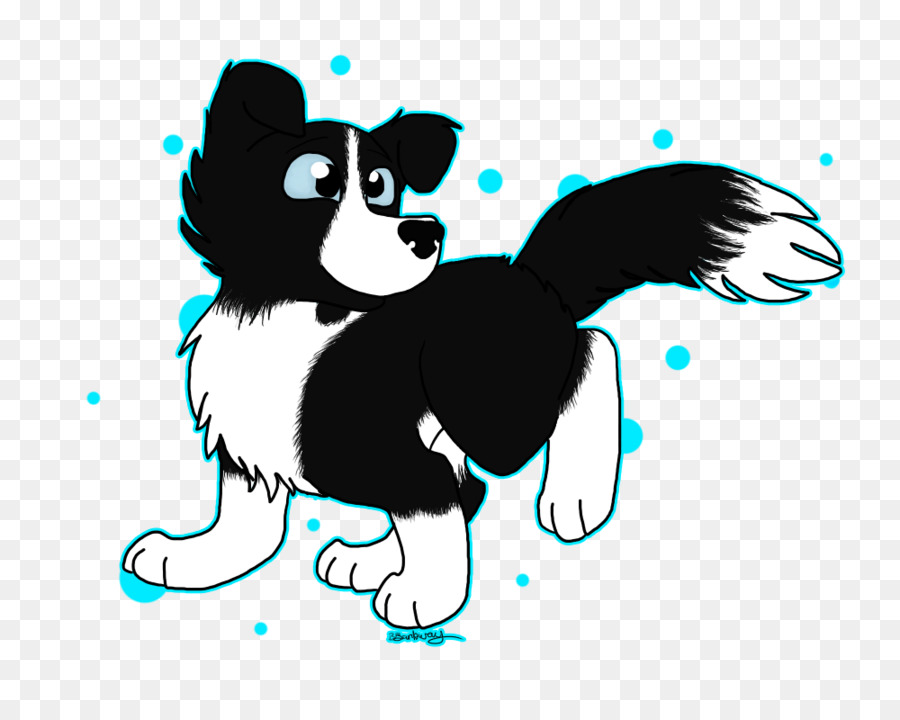 เส้นขอบ Collie，เธอเลือกเสม PNG