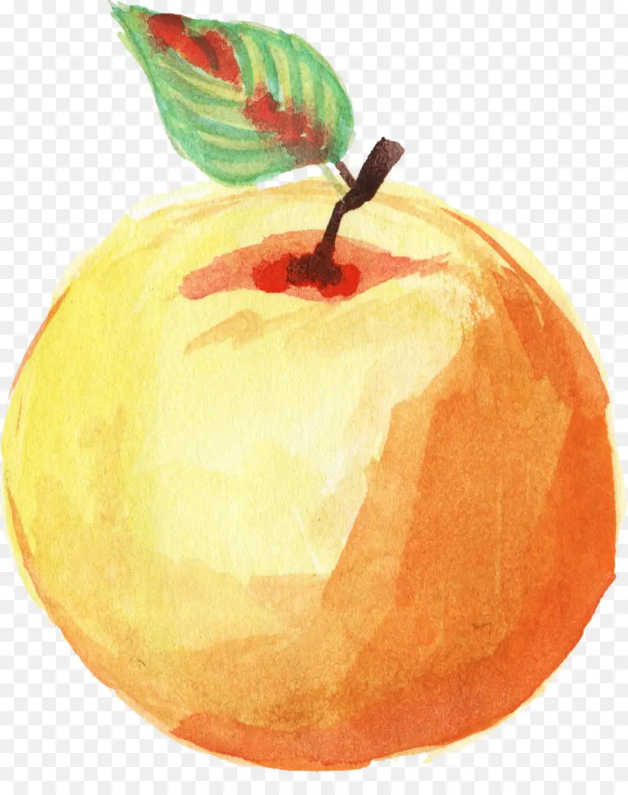 แอปเปิ้ล，สีวาดรูป PNG