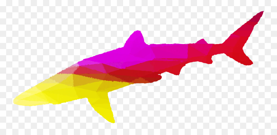 ฉลาม，เอ็มสีชมพู PNG
