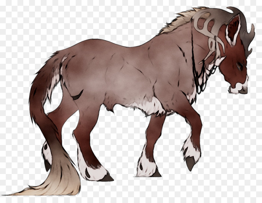 รถมัสแตง，Foal PNG