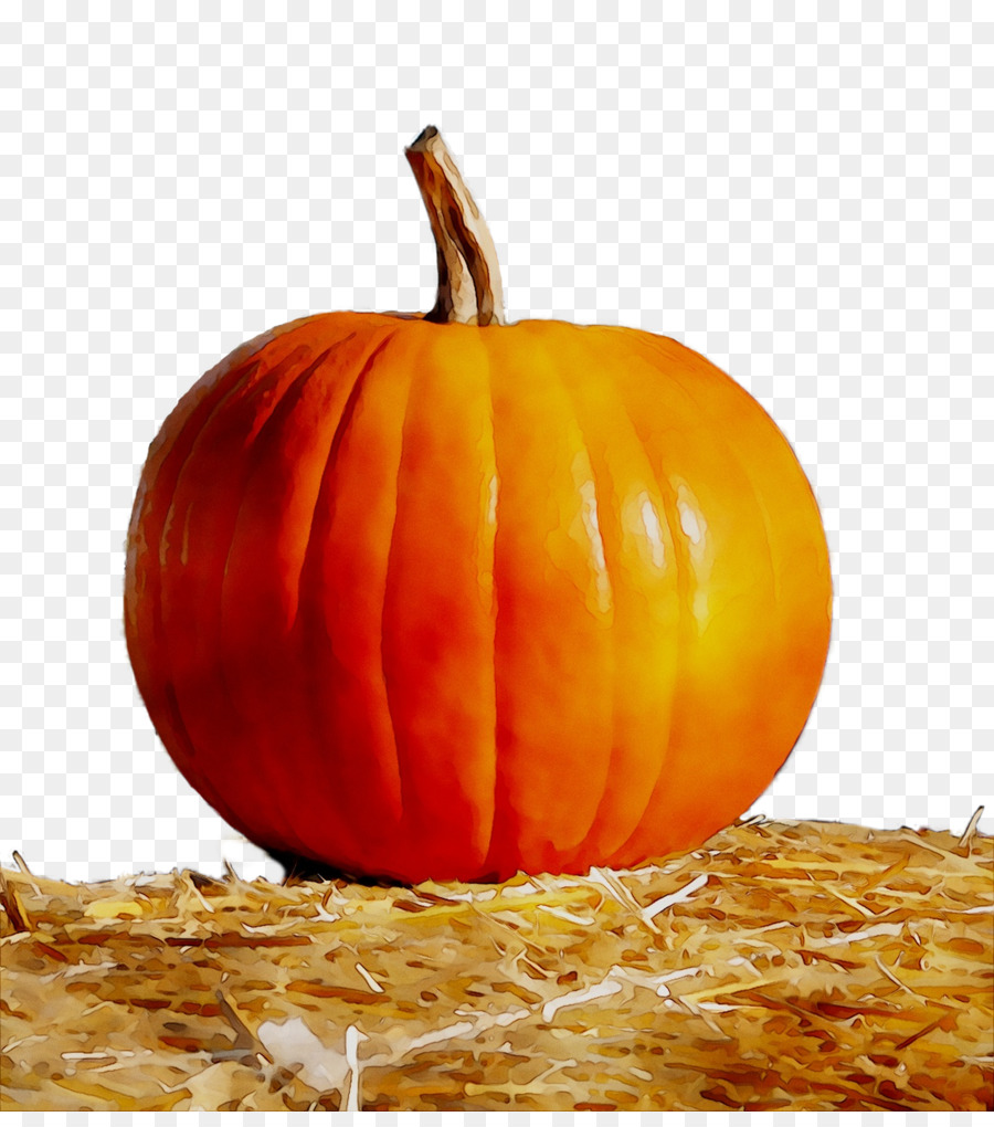 Jackolantern，มะระ PNG