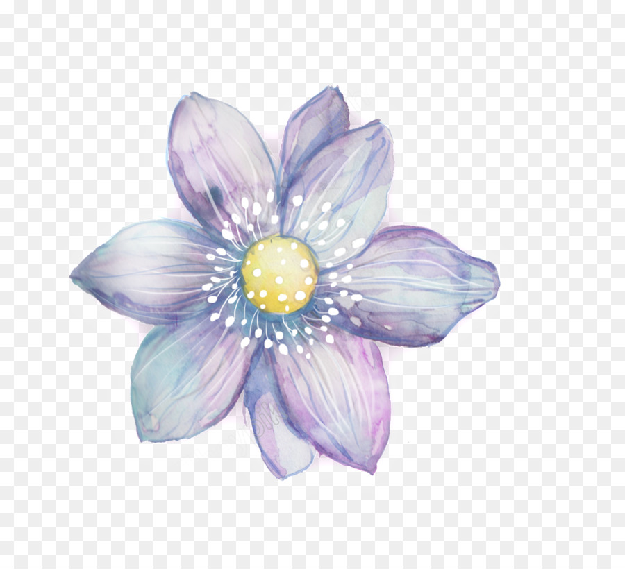 ดอกไม้，สีวาดรูป PNG