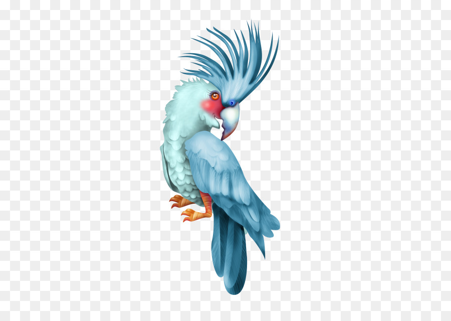Budgerigar，นก PNG