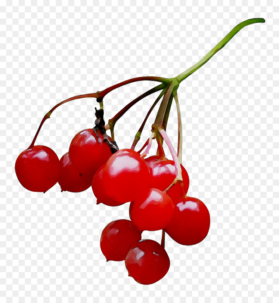 Lingonberry，สีชมพู Peppercorn PNG