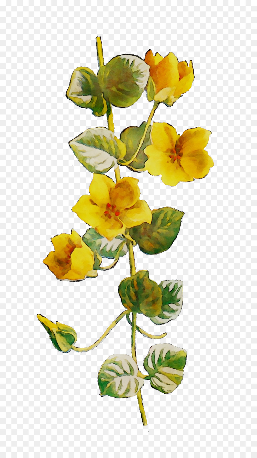 ตัดดอกไม้，สีเหลือง PNG