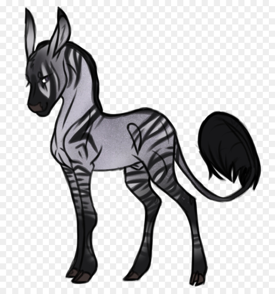 Foal，รถมัสแตง PNG