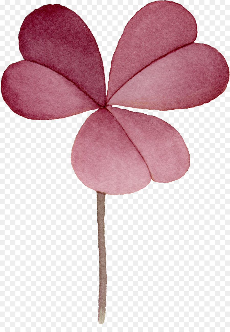 ดีเกลือ，สีแดง Clover PNG