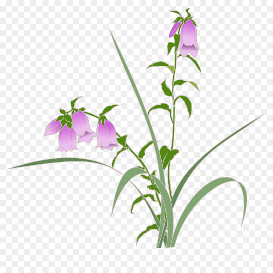 เห็น Bellflower，แสดงภาพตัวอย่างขนาดเล็ก PNG