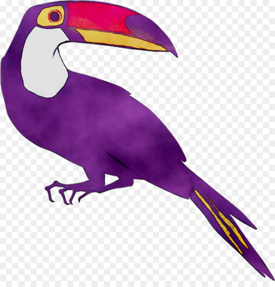 Toucan，จะงอยปาก PNG