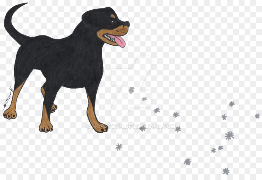 แมนเชสเตอ Terrier，Rottweiler PNG