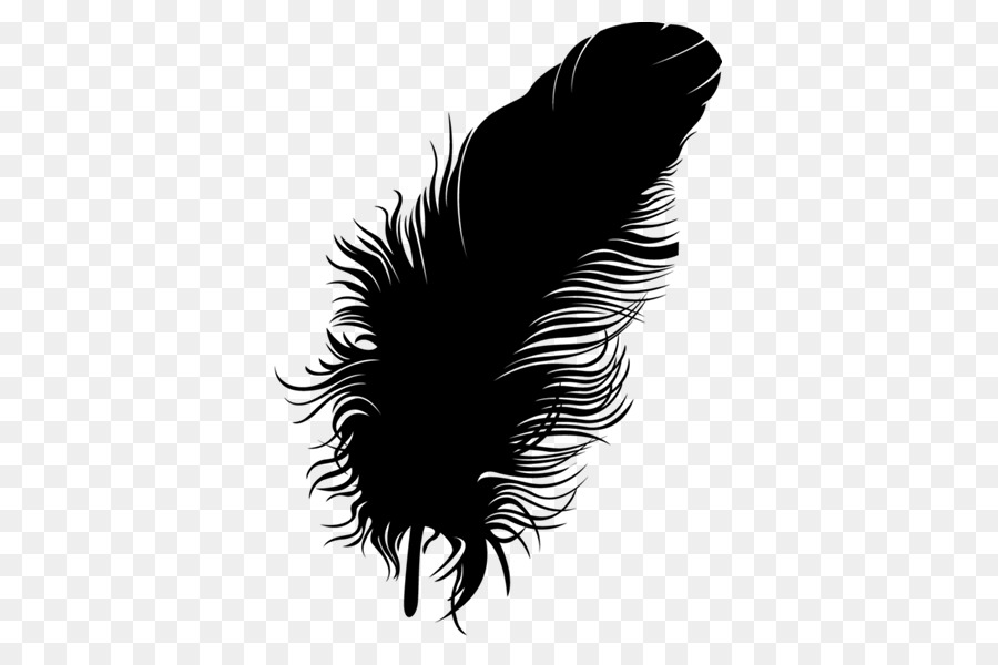 ขนนก，สีดำ M PNG