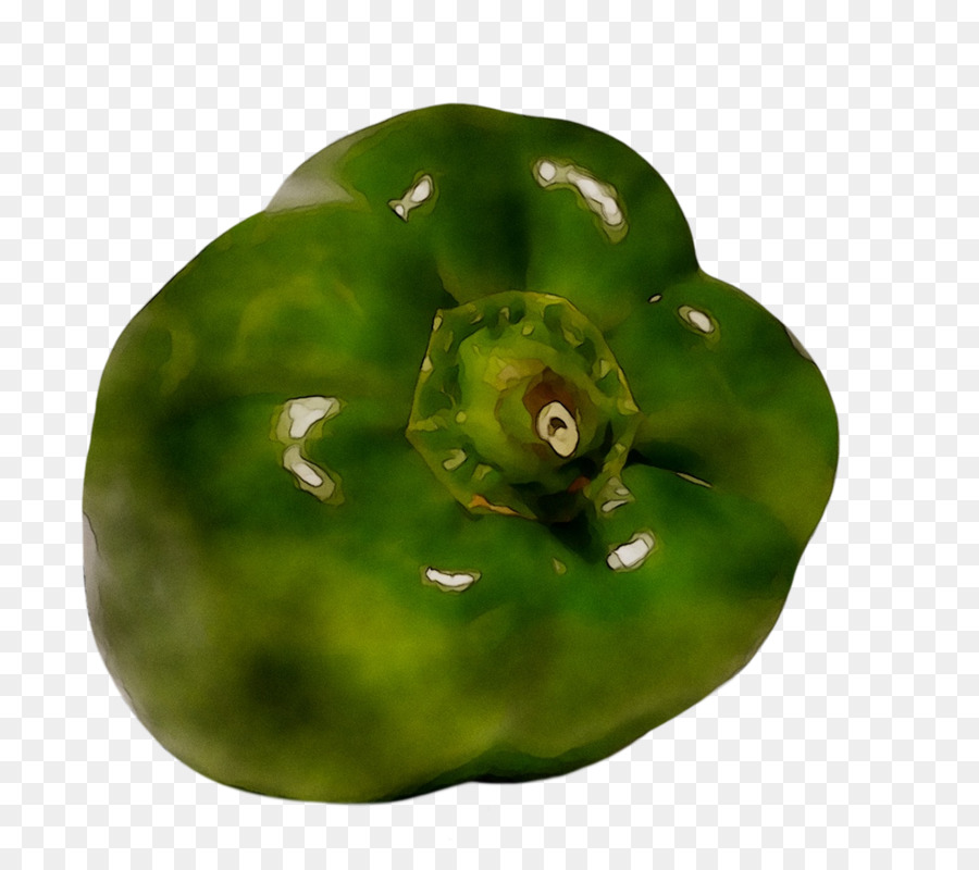 พริก，Poblano PNG